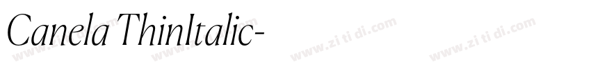 Canela ThinItalic字体转换